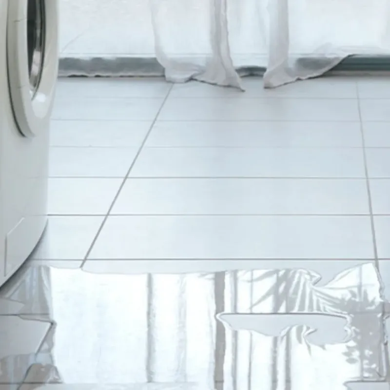 Appliance Leak Cleanup in Zionsville, IN