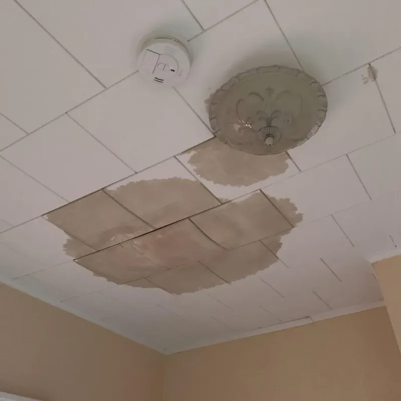 Ceiling Water Damage Repair in Zionsville, IN
