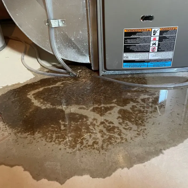 Pipe Burst and Leak Restoration in Zionsville, IN